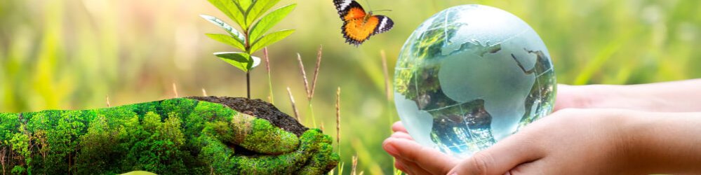 plant-s-hands-holding-a-plant-and-baby-s-hands-holding-earth-globe-a-butterfly-on-grass-background